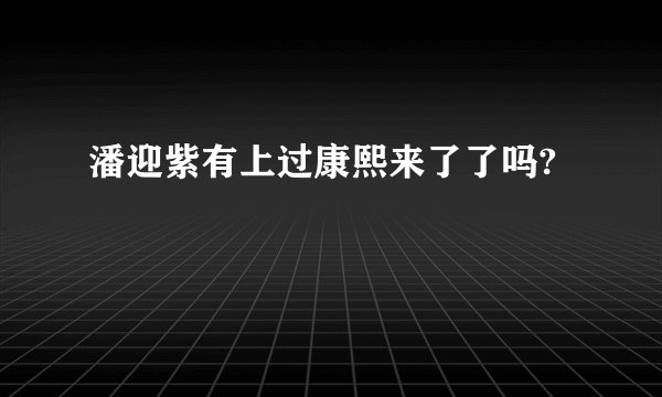 潘迎紫有上过康熙来了了吗?