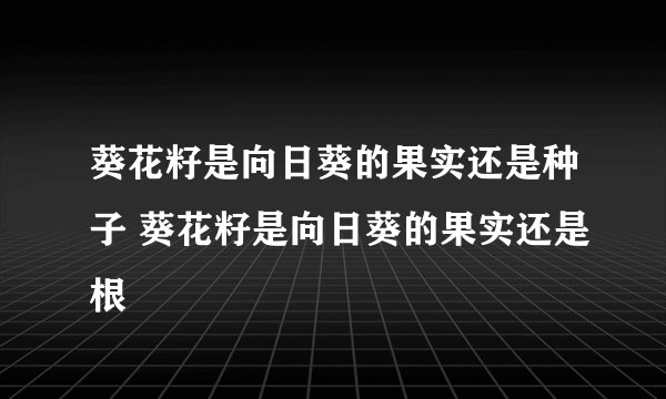 葵花籽是向日葵的果实还是种子 葵花籽是向日葵的果实还是根