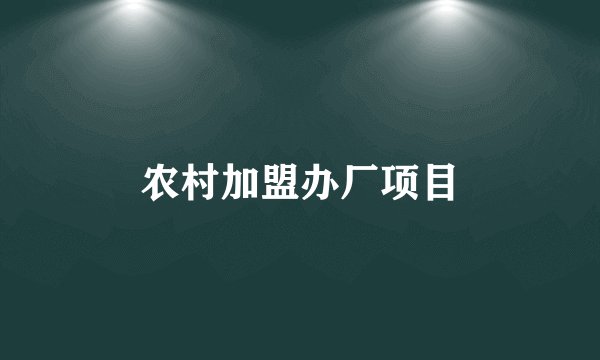 农村加盟办厂项目