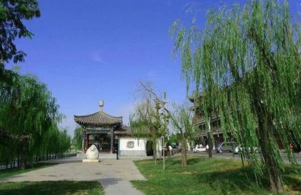 杨柳青森林公园的公园简介