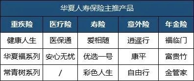 华夏人寿排名第几