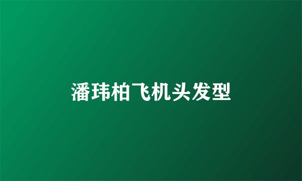 潘玮柏飞机头发型