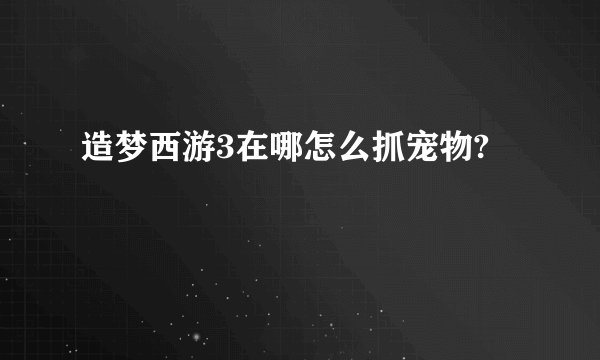 造梦西游3在哪怎么抓宠物?