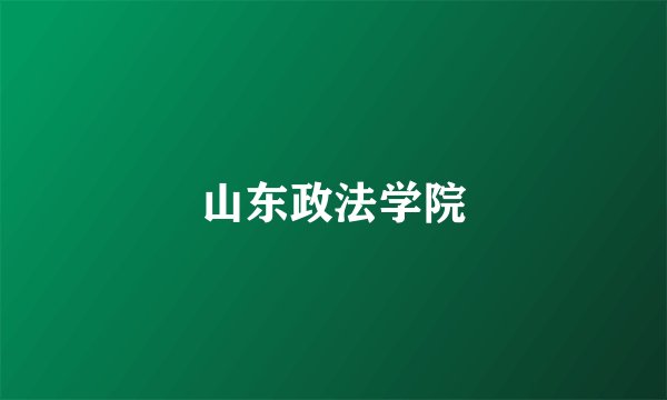 山东政法学院