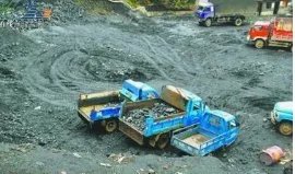 祁连山非法采煤的青海首富,为什么敢这么嚣张?