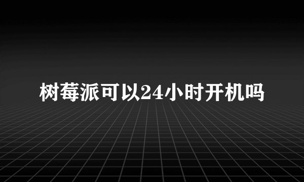 树莓派可以24小时开机吗