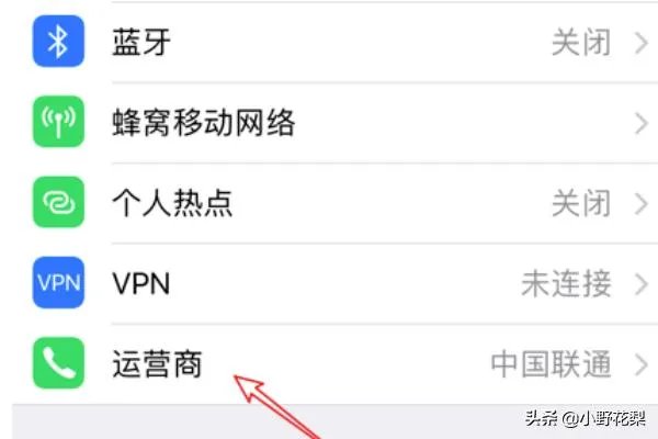 iphone怎么改运营商?