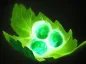 《dota2》娜迦海妖怎么出装 娜迦海妖出装搭配详解