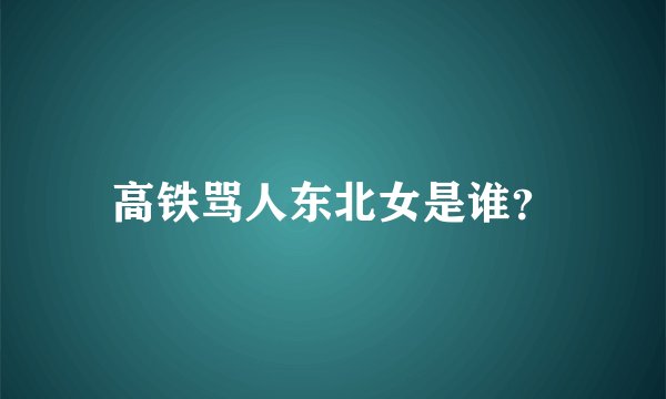 高铁骂人东北女是谁?