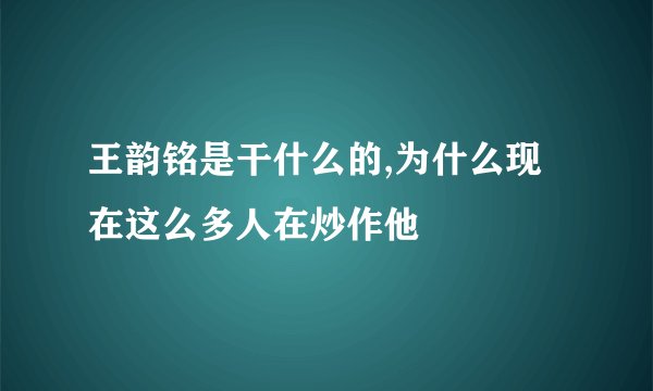 王韵铭是干什么的,为什么现在这么多人在炒作他