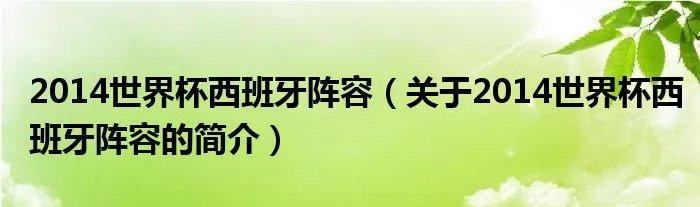 2014世界杯西班牙阵容（关于2014世界杯西班牙阵容的简介）