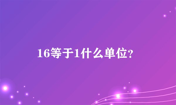 16等于1什么单位？