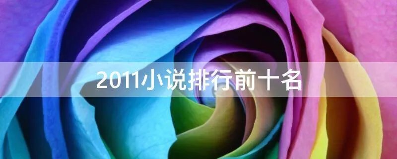 2011小说排行前十名