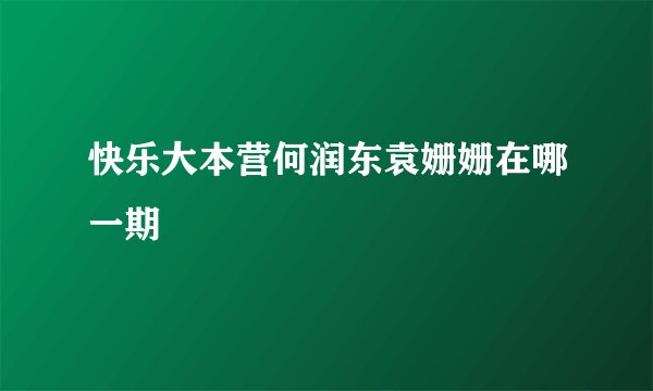 快乐大本营何润东袁姗姗在哪一期
