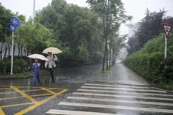 印度青蛙为求雨结婚,结婚后下雨这到底是运气好还是有什么不为人知的秘密?