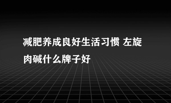 减肥养成良好生活习惯 左旋肉碱什么牌子好