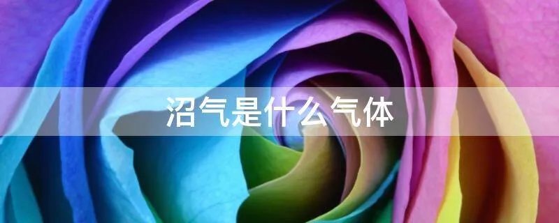 沼气是什么气体