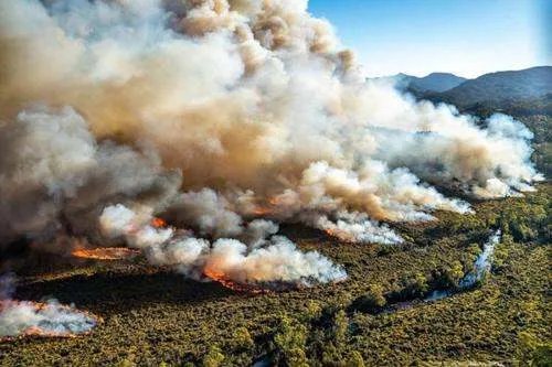 南澳大利亚爆发的山火，会给当地造成什么不好的影响？