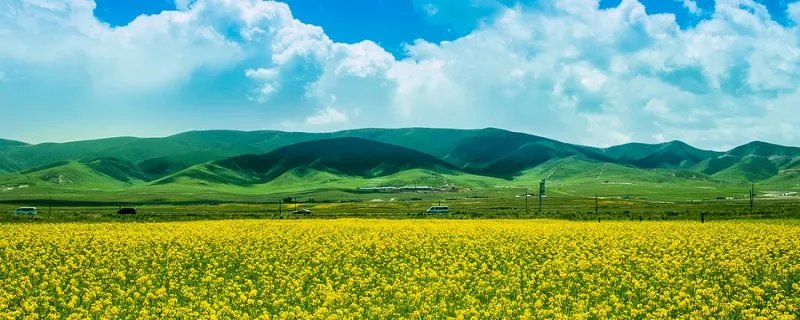 鱼米之乡是哪里