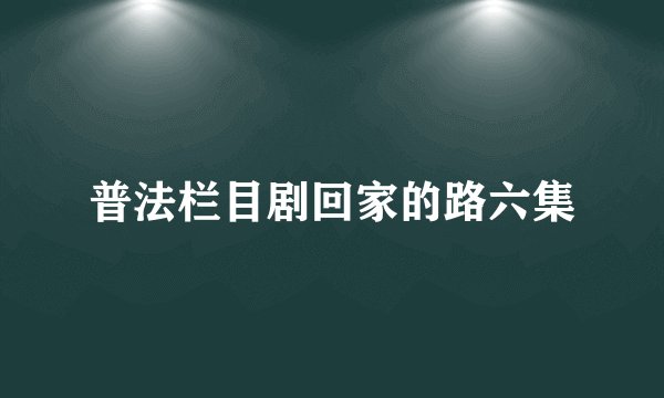 普法栏目剧回家的路六集