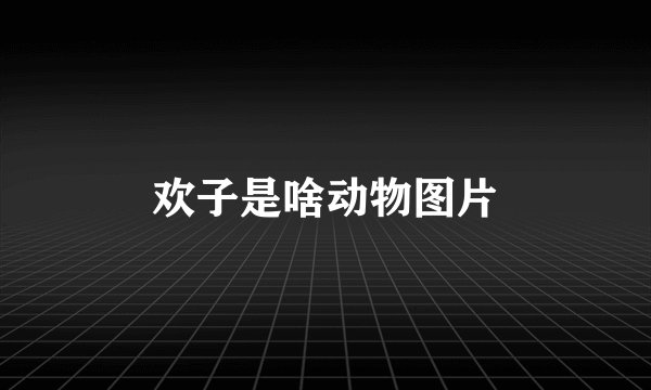 欢子是啥动物图片