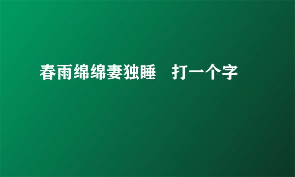 春雨绵绵妻独睡   打一个字
