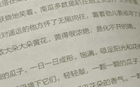 小学六年级上册语文教学计划