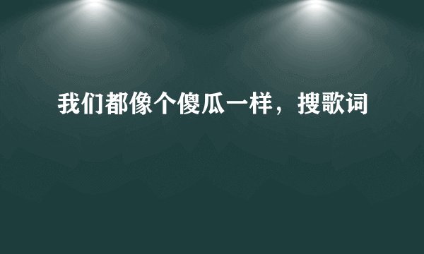 我们都像个傻瓜一样，搜歌词