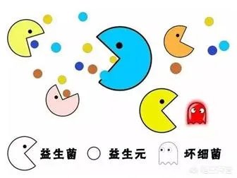你们买益生菌的话都是买什么品牌的?
