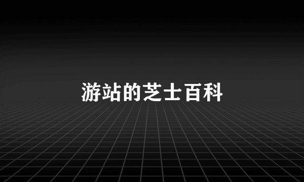 游站的芝士百科