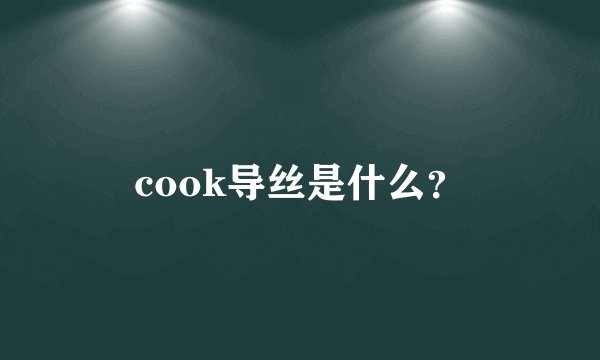 cook导丝是什么？