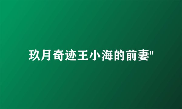 玖月奇迹王小海的前妻